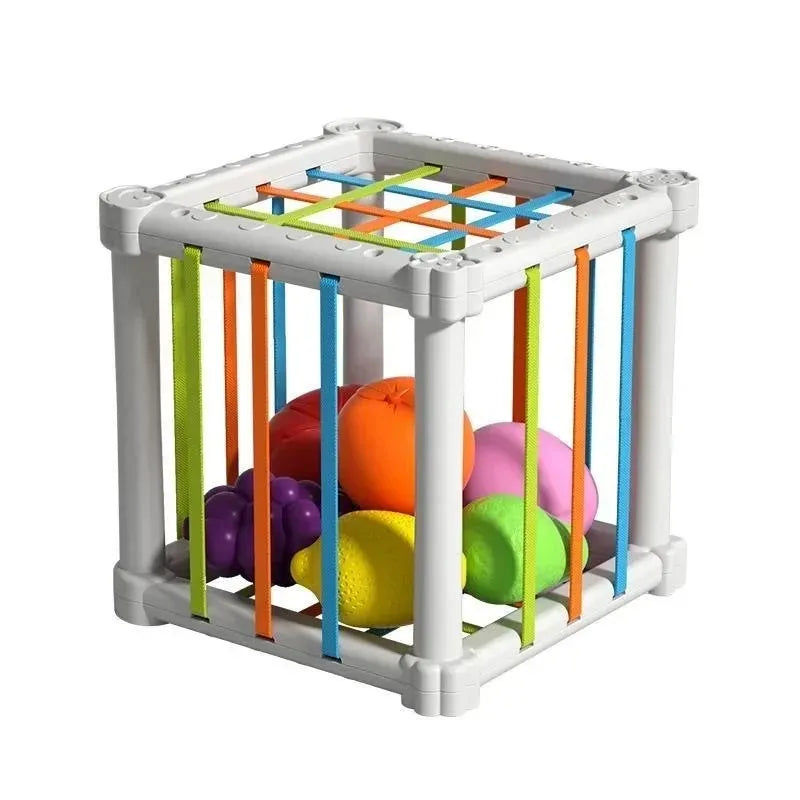 Baby Montessori Shape Sorter Cube