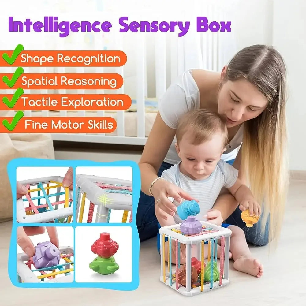 Baby Montessori Shape Sorter Cube