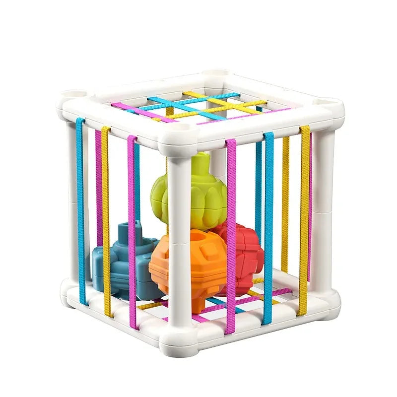 Baby Montessori Shape Sorter Cube