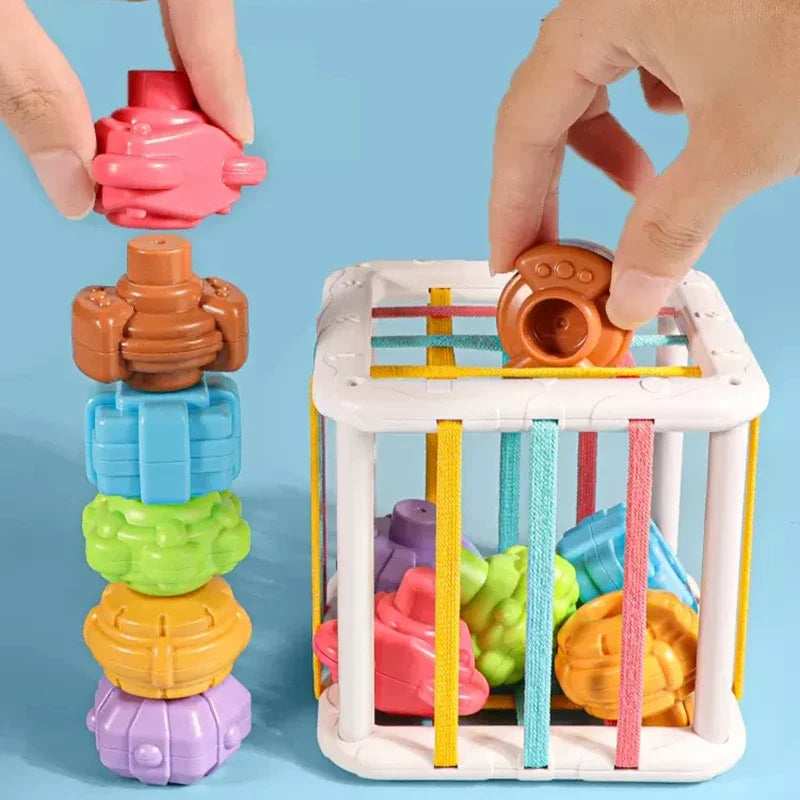 Montessori Sorting & Stacking Shape Blocks Toy