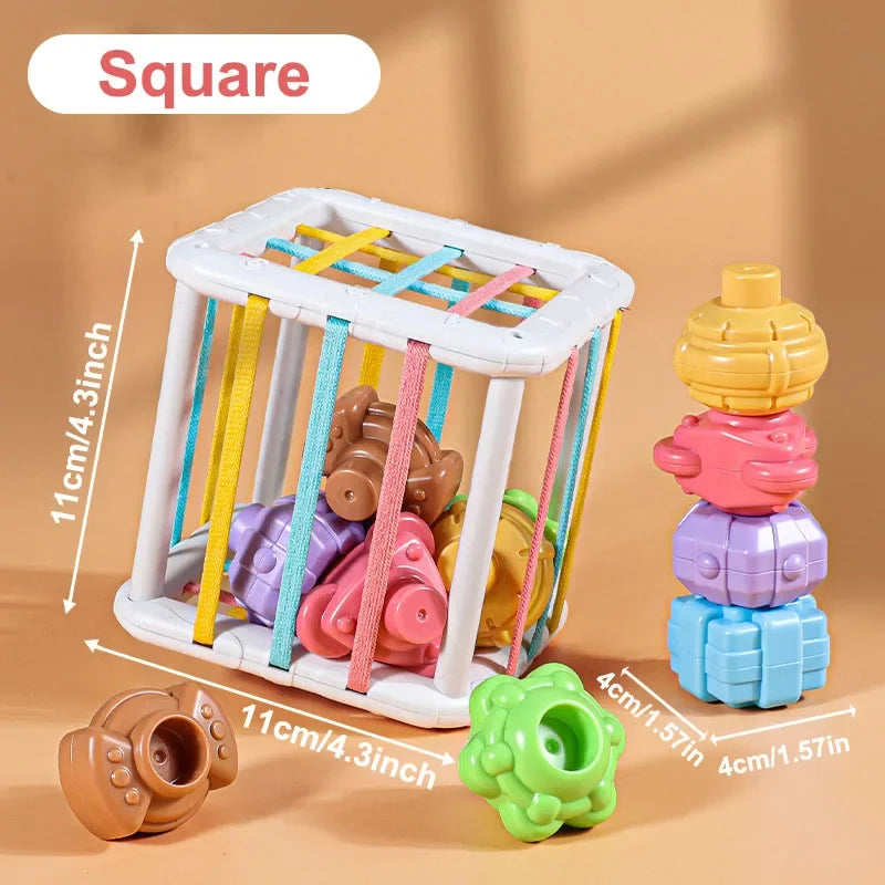 Montessori Sorting & Stacking Shape Blocks Toy