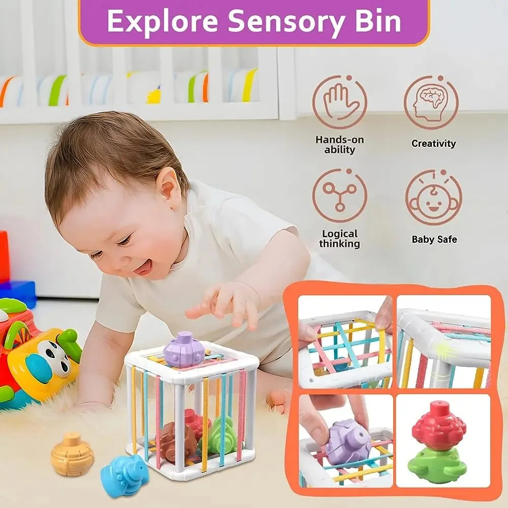 Baby Montessori Shape Sorter Cube